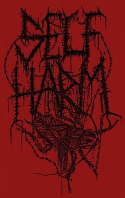 Self Harm : Hektik Kaos Self Harm : Hektik Kaos